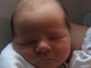 Newborn Finnson